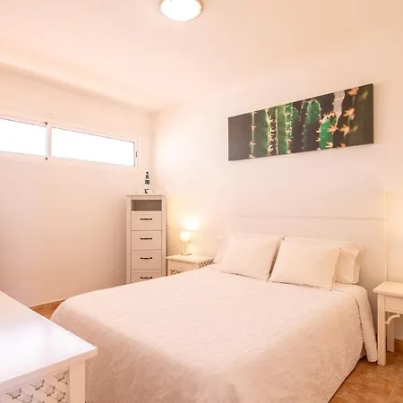 Roque Del Conde Seaview 公寓 阿德耶